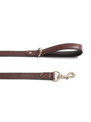 The Fitzroy - Dog Lead - Tan Leather