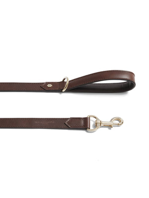 Fitzroy Slim Dog Lead - Mahogany Leather