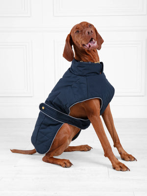 The Charlotte - Dog Coat - Padded Navy Cotton