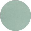 mint Swatch image